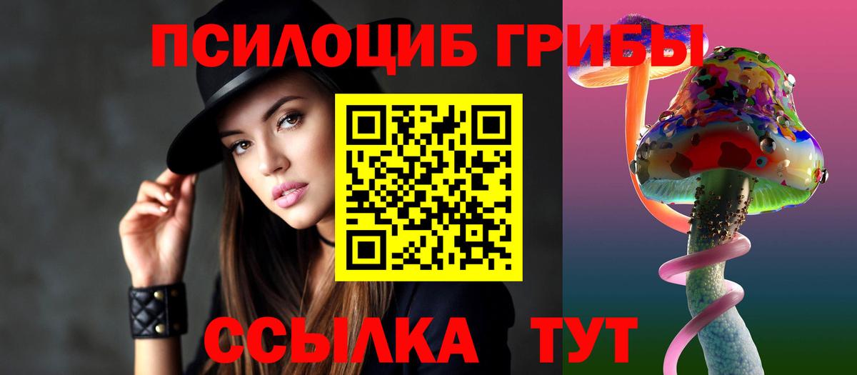 Чернушка  Псилоцибиновые грибы Psilocybe  Вход с VPN  Псилоцибиновые грибы Psilocybe 