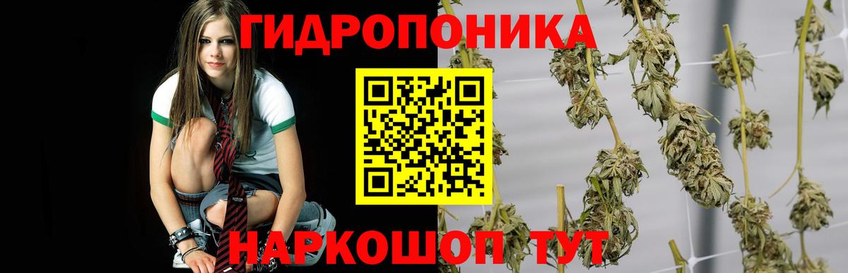 МАРИХУАНА семена  МАРИХУАНА LSD WEED  Марихуана семена  Чернушка  Вход с VPN 