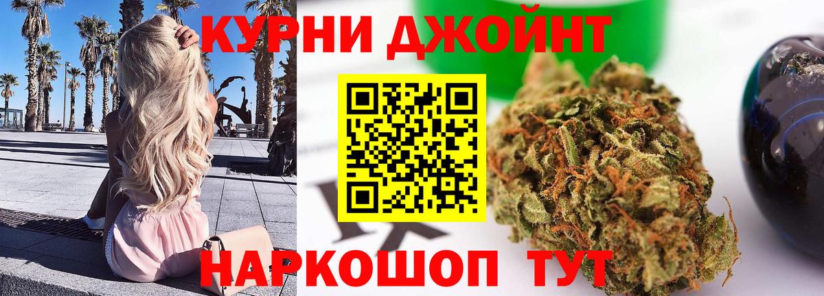 Каннабис OG Kush Чернушка